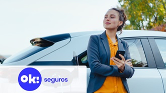 ok seguros